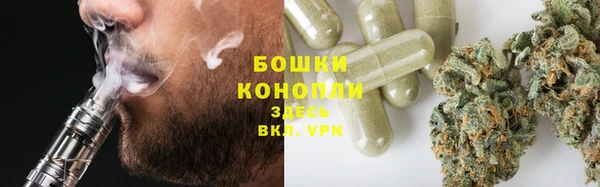 PSILOCYBIN Абаза