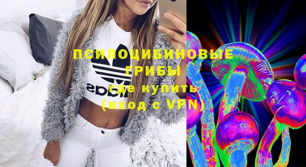 PSILOCYBIN Абаза