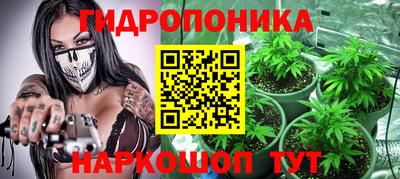 амф Можга