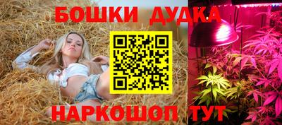 амф Можга